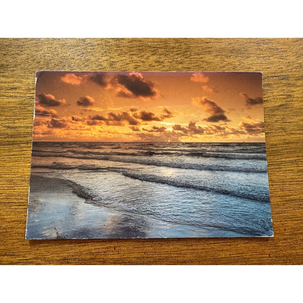 Vintage 1997 Corpus Christi Texas Gulf Mexico Sunrise Postcard Flood Message